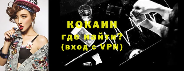 мдпв Осташков