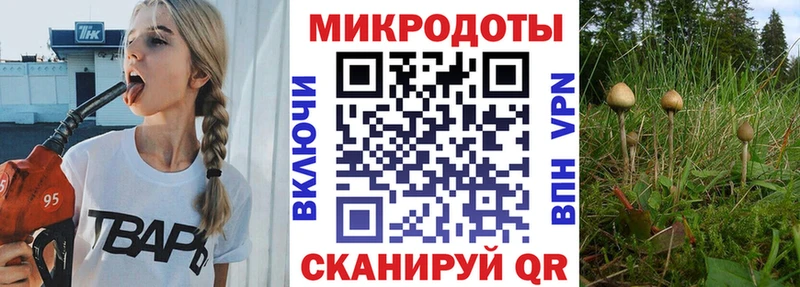 omg ТОР  где можно купить   Ленинск  Галлюциногенные грибы Cubensis 