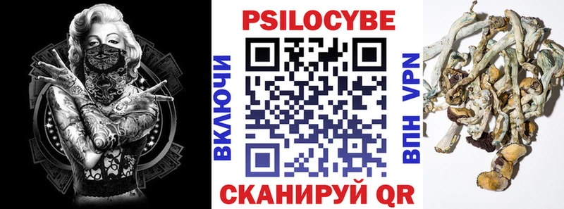 Псилоцибиновые грибы мицелий Ленинск